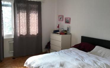 Wohnung 3 Zimmer - image - 5