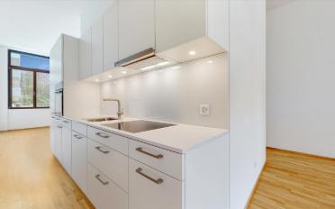 Apartment 2.5 rooms - image - 4