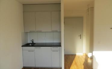 Apartment 1 room - image - 3