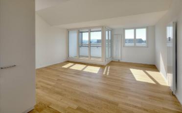 Wohnung 2.5 Zimmer - image - 3