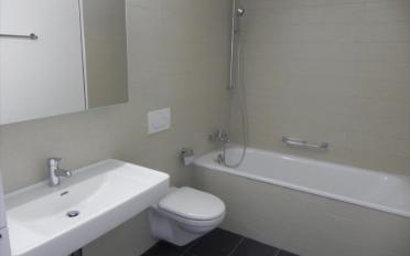 Roof flat 3.5 rooms - image - 3