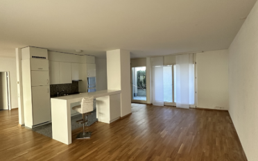 Loft 1 room - image - 4