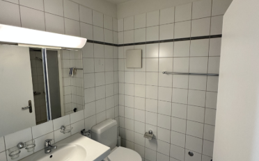 Loft 1 room - image - 7