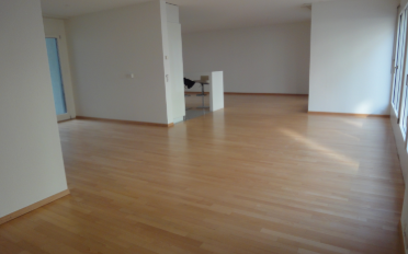 Loft 1 pièce - image - 1