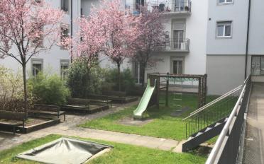 Wohnung 3.5 Zimmer - image - 2