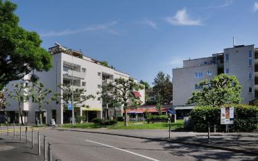 Wohnung 2.5 Zimmer - image - 1