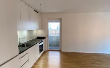 Appartement 2.5 pièces - image - 2