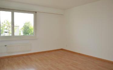 Wohnung 4 Zimmer - image - 5