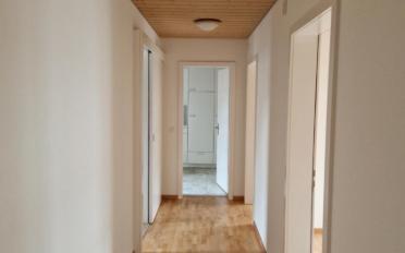 Apartment 2.5 rooms - image - 2