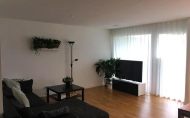 Appartement 3.5 pièces - image - 1