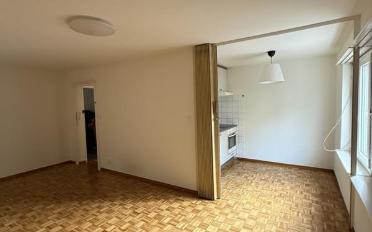 Wohnung 1.5 Zimmer - image - 1
