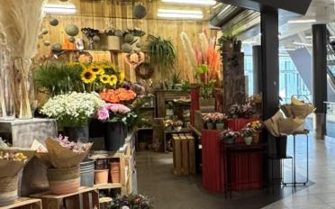 Shop - image - 2