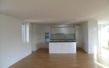 Wohnung 3.5 Zimmer - image - 2