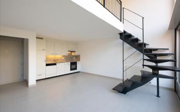 Duplex 2.5 rooms - image - 4