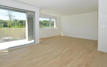 Appartement 2.5 pièces - image - 2