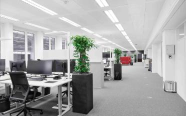 Büro - image - 4