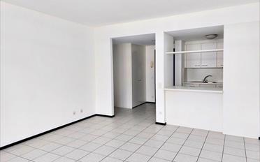 Appartement 2.5 pièces - image - 2
