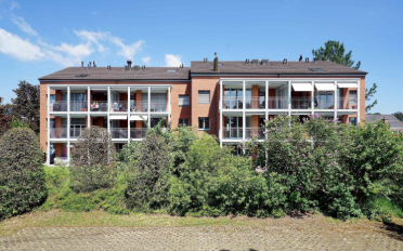 Wohnung 2.5 Zimmer - image - 1