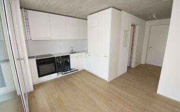 Apartment 1 room - image - 3