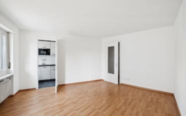 Apartment 1 room - image - 4