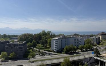 Wohnung 2.5 Zimmer - image - 1