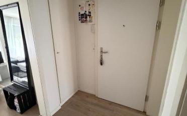 Wohnung 3 Zimmer - image - 6