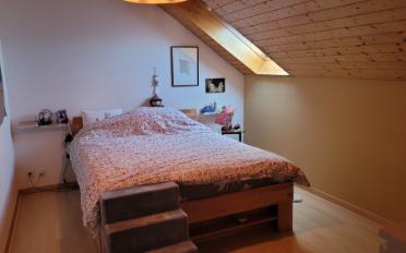 Villa 9 Zimmer - image - 10