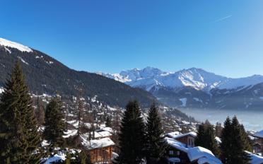 Chalet 8.5 pièces - image - 5