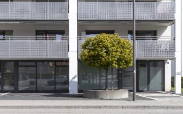 Büro 4.5 Zimmer - image - 3