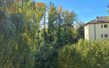 Office - image - 6