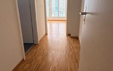 Appartement 3.5 pièces - image - 2