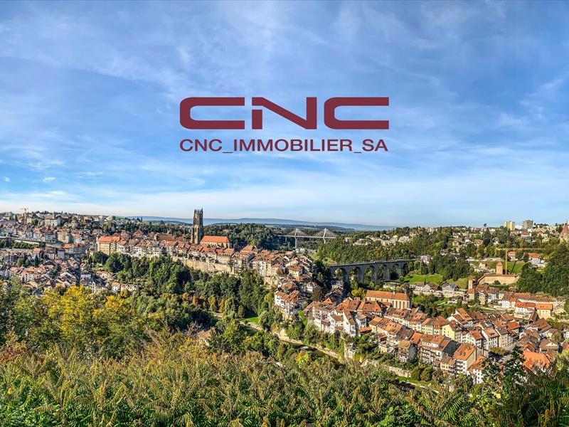 CNC IMMOBILIER SA